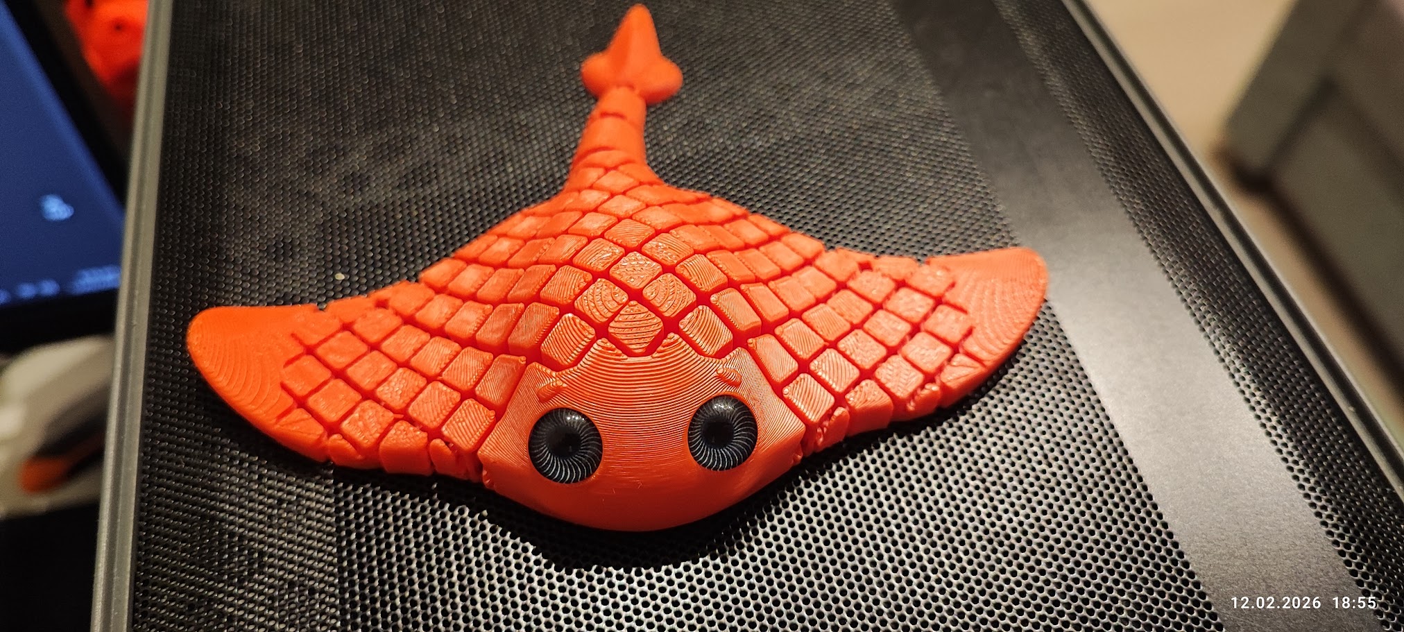 Manta | Hračka - Obrázek 7